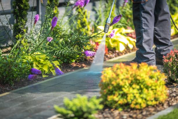 Best Pool Deck Cleaning  in Linden, MI