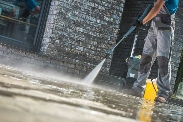 Best Oil Spill Cleanup  in Linden, MI