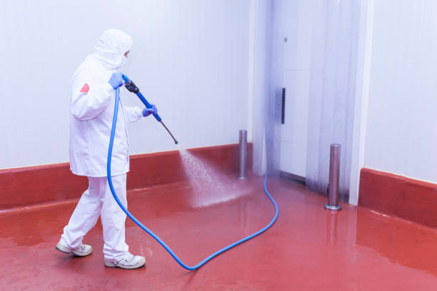 Pre-Holiday Cleaning in Linden, MI