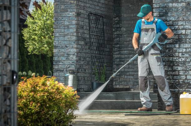 Best Sign and Awning Cleaning  in Linden, MI