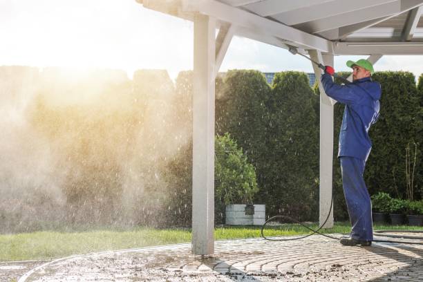 Best Concrete Sealing  in Linden, MI