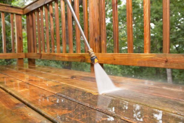 Best Spring Cleaning  in Linden, MI